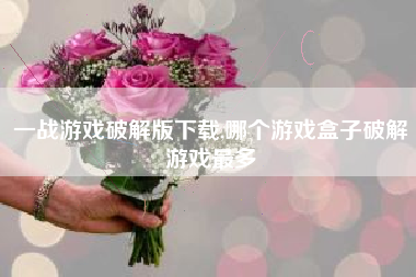 一战游戏破解版下载,哪个游戏盒子破解游戏最多