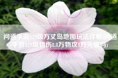 问道手游129级方丈岛地图玩法详解(问道手游129级物伤8.8万物攻1万元值吗)