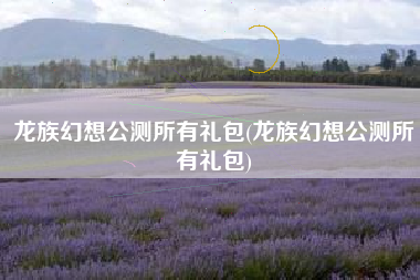 龙族幻想公测所有礼包(龙族幻想公测所有礼包)