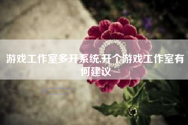 游戏工作室多开系统,开个游戏工作室有何建议