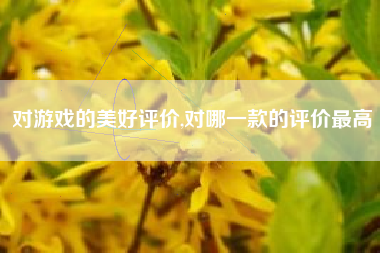 对游戏的美好评价,对哪一款的评价最高