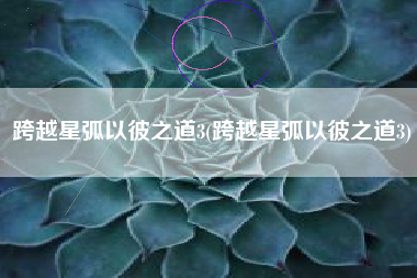 跨越星弧以彼之道3(跨越星弧以彼之道3)
