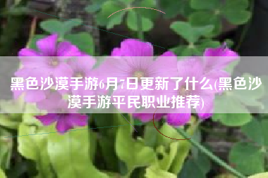 黑色沙漠手游6月7日更新了什么(黑色沙漠手游平民职业推荐)
