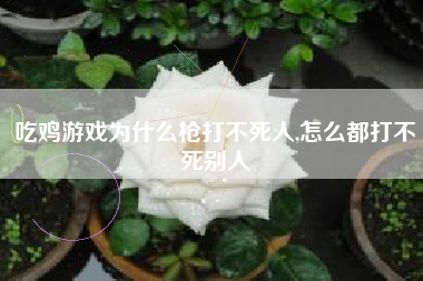 吃鸡游戏为什么枪打不死人,怎么都打不死别人