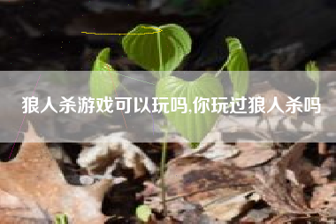 狼人杀游戏可以玩吗,你玩过狼人杀吗