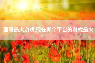 国服最火游戏,现在哪个平台的游戏最火