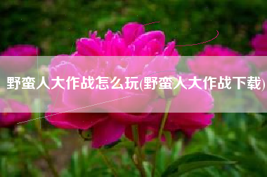 野蛮人大作战怎么玩(野蛮人大作战下载)