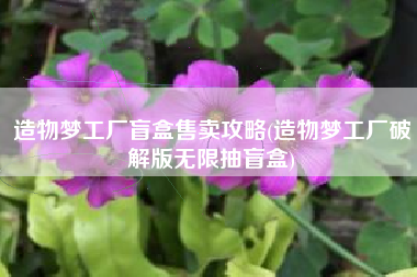 造物梦工厂盲盒售卖攻略(造物梦工厂破解版无限抽盲盒)