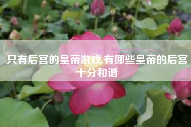 只有后宫的皇帝游戏,有哪些皇帝的后宫十分和谐