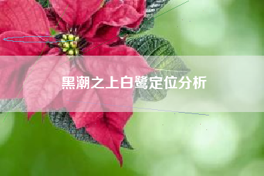 黑潮之上白鹭定位分析