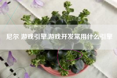 尼尔 游戏引擎,游戏开发常用什么引擎