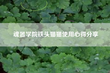 魂器学院铁头猫猫使用心得分享