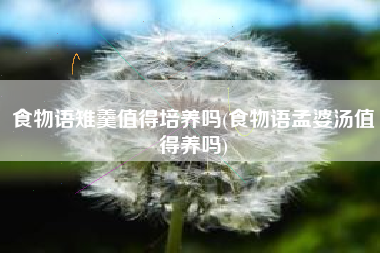食物语雉羹值得培养吗(食物语孟婆汤值得养吗)