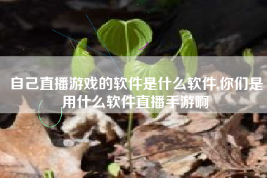 自己直播游戏的软件是什么软件,你们是用什么软件直播手游啊