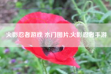 火影忍者游戏 水门图片,火影忍者手游
