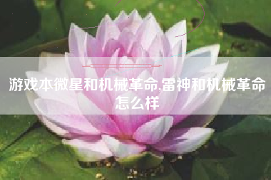 游戏本微星和机械革命,雷神和机械革命怎么样