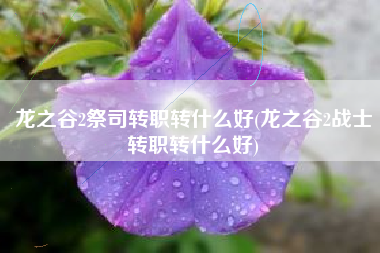 龙之谷2祭司转职转什么好(龙之谷2战士转职转什么好)