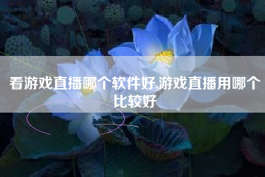 看游戏直播哪个软件好,游戏直播用哪个比较好