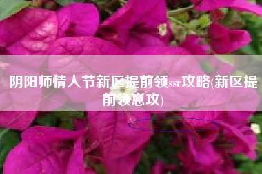 阴阳师情人节新区提前领ssr攻略(新区提前领崽攻)