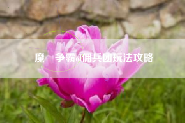 魔獣争霸ol佣兵团玩法攻略