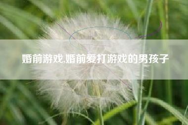 婚前游戏,婚前爱打游戏的男孩子