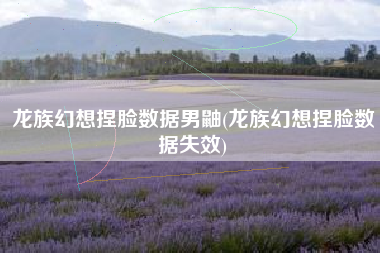 龙族幻想捏脸数据男鼬(龙族幻想捏脸数据失效)