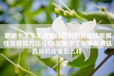 跑跑卡丁车手游勇往直前的皮蛋技能属性及获得方法介绍(跑跑卡丁车手游勇往直前的皮蛋怎么样)
