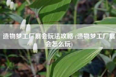 造物梦工厂展会玩法攻略 (造物梦工厂展会怎么玩)