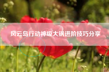 风云岛行动神级大锅进阶技巧分享