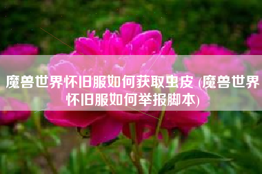 魔兽世界怀旧服如何获取虫皮 (魔兽世界怀旧服如何举报脚本)