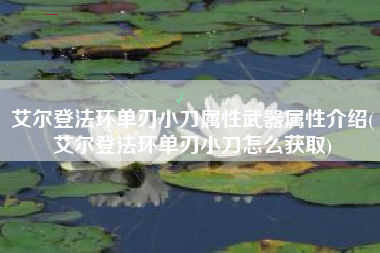 艾尔登法环单刃小刀属性武器属性介绍(艾尔登法环单刃小刀怎么获取)