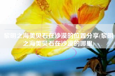 黎明之海美贝石在沙漠的位置分享(黎明之海美贝石在沙漠的哪里)