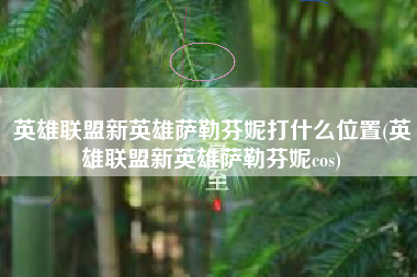 英雄联盟新英雄萨勒芬妮打什么位置(英雄联盟新英雄萨勒芬妮cos)