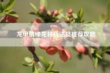 龙甲情缘龙将玩法及推荐攻略