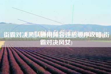 街霸对决风队通用阵容连招顺序攻略(街霸对决风女)