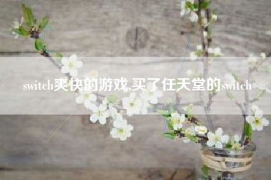 switch爽快的游戏,买了任天堂的switch
