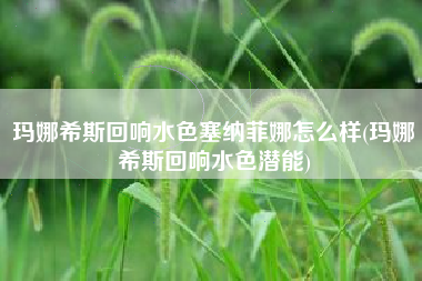 玛娜希斯回响水色塞纳菲娜怎么样(玛娜希斯回响水色潜能)