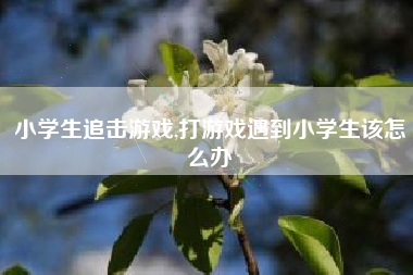 小学生追击游戏,打游戏遇到小学生该怎么办