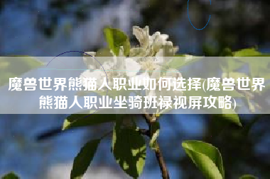 魔兽世界熊猫人职业如何选择(魔兽世界熊猫人职业坐骑班禄视屏攻略)