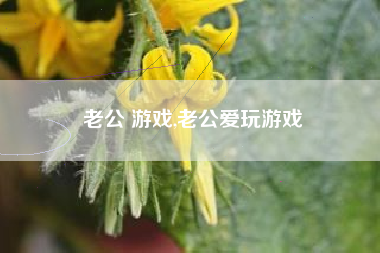 老公 游戏,老公爱玩游戏