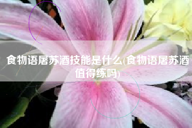 食物语屠苏酒技能是什么(食物语屠苏酒值得练吗)