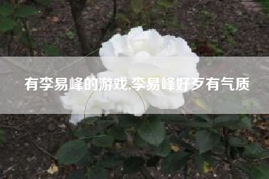 有李易峰的游戏,李易峰好歹有气质