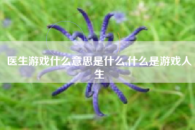 医生游戏什么意思是什么,什么是游戏人生