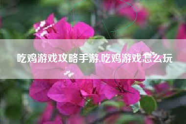 吃鸡游戏攻略手游,吃鸡游戏怎么玩