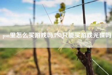 psn里怎么买游戏吗,PS4只能买游戏光碟吗