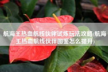 航海王热血航线伙伴试炼玩法攻略(航海王热血航线伙伴图鉴怎么提升)