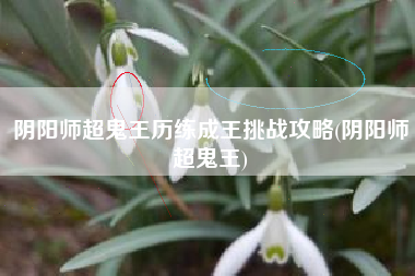 阴阳师超鬼王历练成王挑战攻略(阴阳师超鬼王)