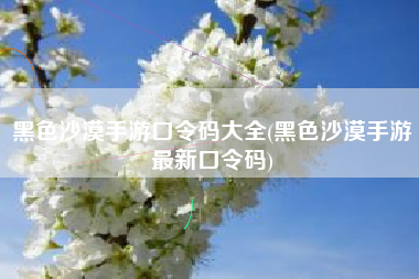 黑色沙漠手游口令码大全(黑色沙漠手游最新口令码)