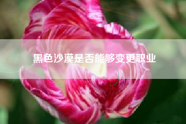 黑色沙漠是否能够变更职业