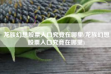 龙族幻想股票入口究竟在哪里(龙族幻想股票入口究竟在哪里)